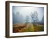 Magic Meadow Apples-Kelly Sinclair-Framed Photographic Print