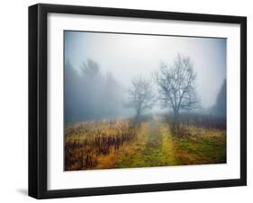 Magic Meadow Apples-Kelly Sinclair-Framed Photographic Print