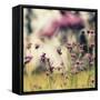 Magic of Pink-Incredi-Framed Stretched Canvas