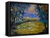 Magic Pond 4530-Pol Ledent-Framed Stretched Canvas