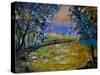 Magic Pond 4530-Pol Ledent-Stretched Canvas