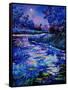 Magic Pond 45-Pol Ledent-Framed Stretched Canvas