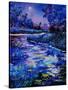 Magic Pond 45-Pol Ledent-Stretched Canvas