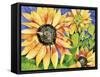 Magic Sunflowers-Mary Russel-Framed Stretched Canvas