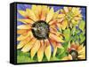 Magic Sunflowers-Mary Russel-Framed Stretched Canvas