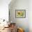 Magic Sunflowers-Mary Russel-Framed Giclee Print displayed on a wall