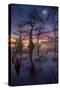 Magic Sunset-Moises Levy-Stretched Canvas