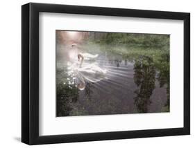 Magic Swan-Steve Hunziker-Framed Art Print