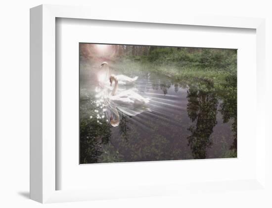 Magic Swan-Steve Hunziker-Framed Art Print