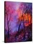 Magic Trees-Pol Ledent-Stretched Canvas