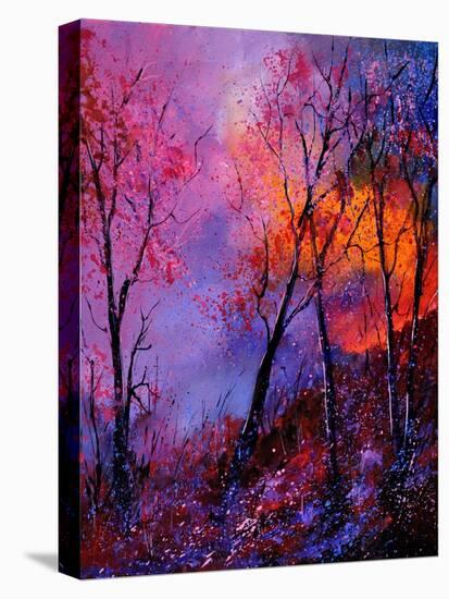 Magic Trees-Pol Ledent-Stretched Canvas