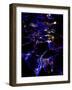 Magic Water-MusicDreamerArt-Framed Giclee Print