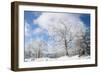 Magic Whiteness-Philippe Sainte-Laudy-Framed Photographic Print