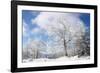 Magic Whiteness-Philippe Sainte-Laudy-Framed Photographic Print