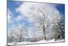 Magic Whiteness-Philippe Sainte-Laudy-Mounted Photographic Print