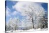 Magic Whiteness-Philippe Sainte-Laudy-Stretched Canvas