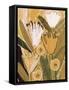 Magic Wildflowers / Yellow a Green-Alisa Galitsyna-Framed Stretched Canvas