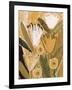 Magic Wildflowers / Yellow a Green-Alisa Galitsyna-Framed Giclee Print