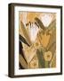 Magic Wildflowers / Yellow a Green-Alisa Galitsyna-Framed Giclee Print