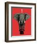 Magic!-Urban Cricket-Framed Giclee Print