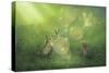 Magical Afternoon-Kirk Reinert-Stretched Canvas