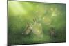 Magical Afternoon-Kirk Reinert-Mounted Giclee Print