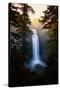 Magical and Dreamy Salt Creek Falls Wiliamette National Forest, Oregon Wilderness-Vincent James-Stretched Canvas