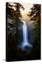 Magical and Dreamy Salt Creek Falls Wiliamette National Forest, Oregon Wilderness-Vincent James-Stretched Canvas