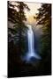 Magical and Dreamy Salt Creek Falls Wiliamette National Forest, Oregon Wilderness-Vincent James-Mounted Photographic Print