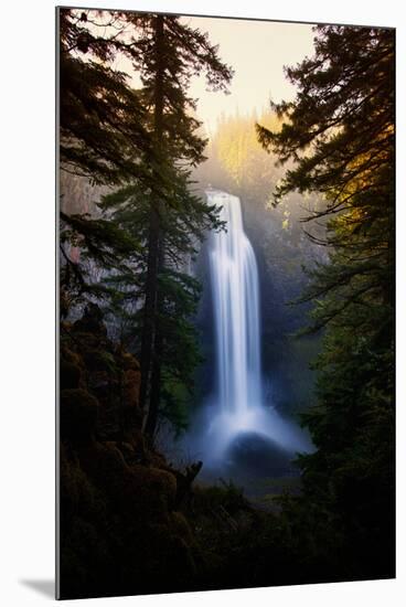 Magical and Dreamy Salt Creek Falls Wiliamette National Forest, Oregon Wilderness-Vincent James-Mounted Photographic Print