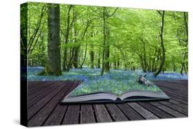 Magical Book with Contents Spilling into Landscape Background-Veneratio-Stretched Canvas