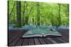 Magical Book with Contents Spilling into Landscape Background-Veneratio-Stretched Canvas