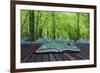 Magical Book with Contents Spilling into Landscape Background-Veneratio-Framed Photographic Print