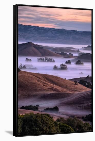 Magical Country Hills and Fog, Petaluma, Sonoma, Bay Area-Vincent James-Framed Stretched Canvas