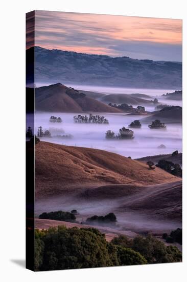 Magical Country Hills and Fog, Petaluma, Sonoma, Bay Area-Vincent James-Stretched Canvas