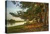 Magical Fantasy Style Forest Scene with Lake during Sunset-Veneratio-Stretched Canvas