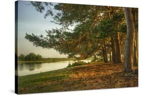 Magical Fantasy Style Forest Scene with Lake during Sunset-Veneratio-Stretched Canvas