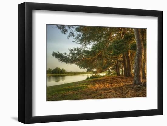 Magical Fantasy Style Forest Scene with Lake during Sunset-Veneratio-Framed Photographic Print