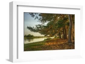 Magical Fantasy Style Forest Scene with Lake during Sunset-Veneratio-Framed Photographic Print