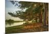 Magical Fantasy Style Forest Scene with Lake during Sunset-Veneratio-Mounted Photographic Print