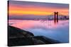 Magical First Light and Fog at Golden Gate Bridge, San Francisco-Vincent James-Stretched Canvas