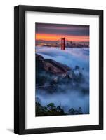 Magical Fog and Sunrise Light, Golden Gate Bridge, San Francisco-Vincent James-Framed Photographic Print