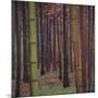 Magical Forest-Don Li-Leger-Mounted Art Print