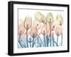 Magical Garden 2-Albert Koetsier-Framed Art Print