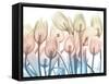 Magical Garden 2-Albert Koetsier-Framed Stretched Canvas