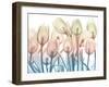 Magical Garden 2-Albert Koetsier-Framed Art Print