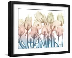 Magical Garden 2-Albert Koetsier-Framed Art Print