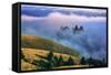 Magical Land of Fog and Light, Mount Tamalpais State Park, California-Vincent James-Framed Stretched Canvas