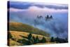 Magical Land of Fog and Light, Mount Tamalpais State Park, California-Vincent James-Stretched Canvas