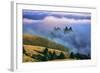 Magical Land of Fog and Light, Mount Tamalpais State Park, California-Vincent James-Framed Photographic Print